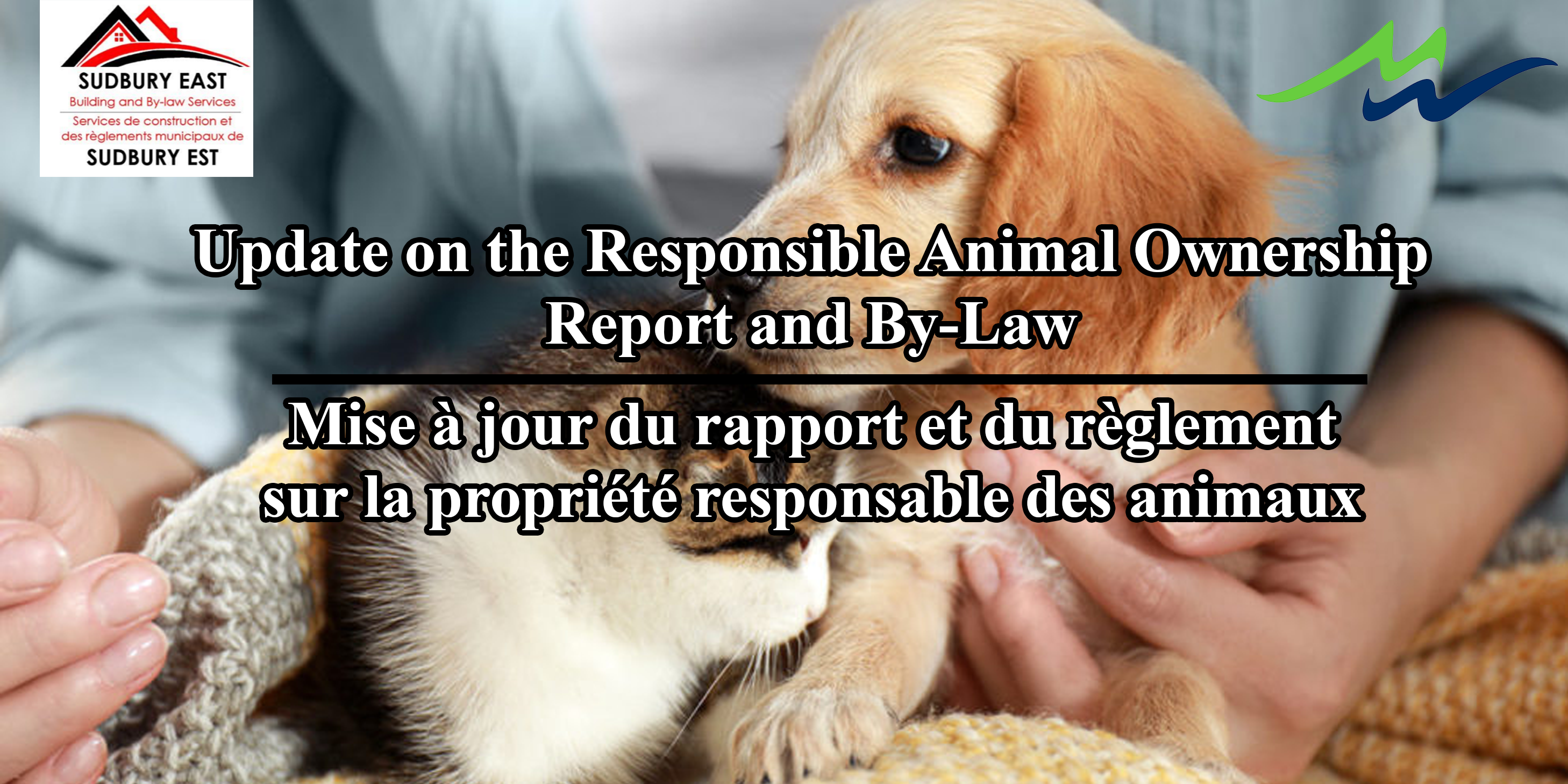 animal bylaw